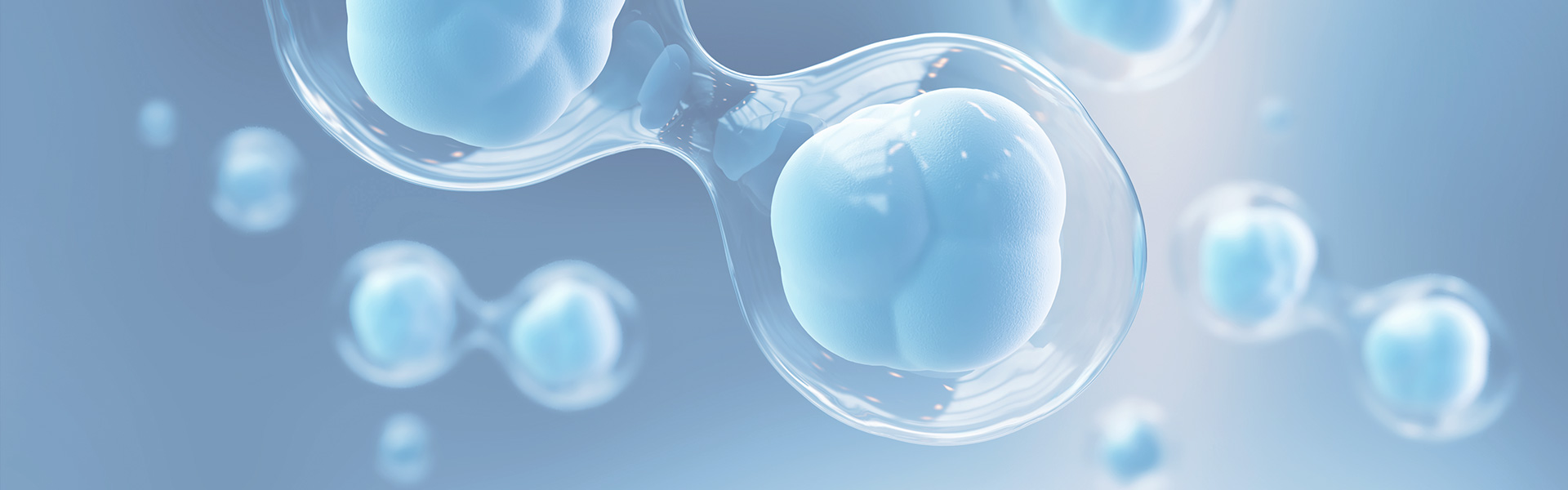 EVO视讯(中国)有限公司官网