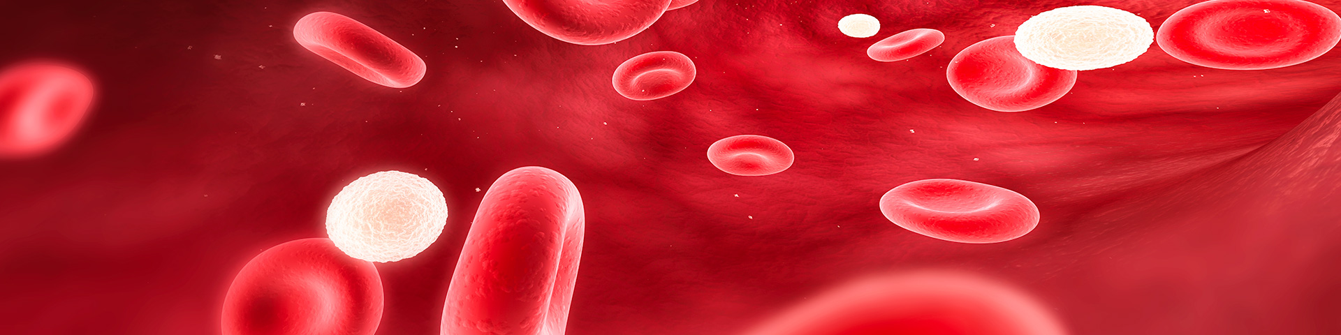 EVO视讯(中国)有限公司官网