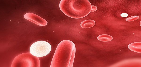 EVO视讯(中国)有限公司官网