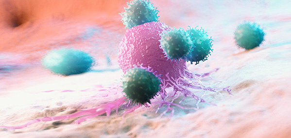 EVO视讯(中国)有限公司官网