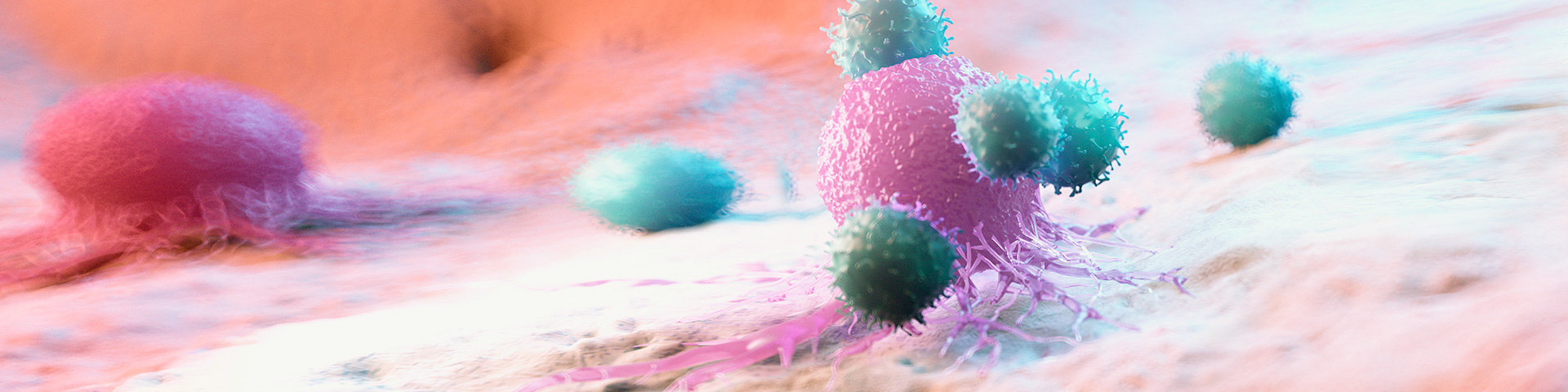 EVO视讯(中国)有限公司官网