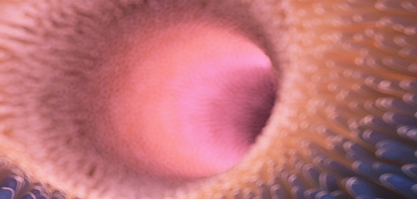 EVO视讯(中国)有限公司官网