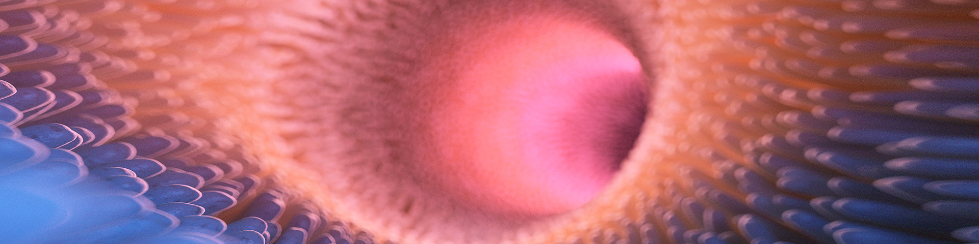 EVO视讯(中国)有限公司官网