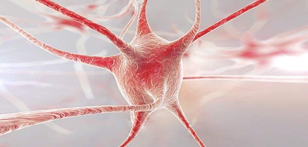 EVO视讯(中国)有限公司官网