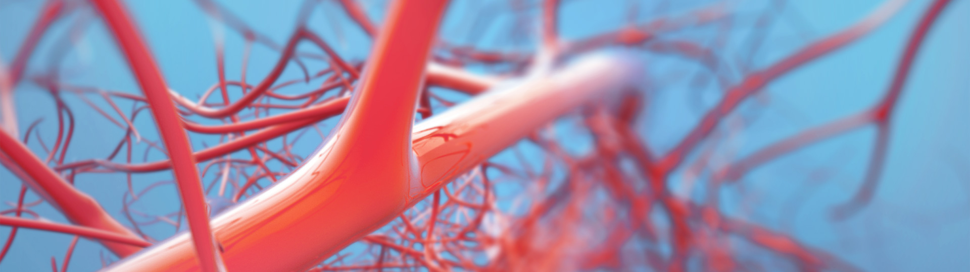 EVO视讯(中国)有限公司官网