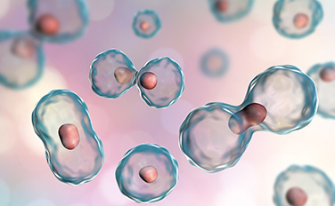 EVO视讯(中国)有限公司官网