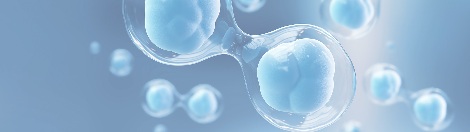 EVO视讯(中国)有限公司官网