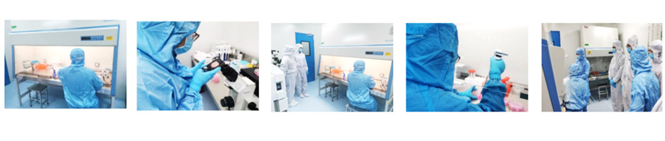 EVO视讯(中国)有限公司官网