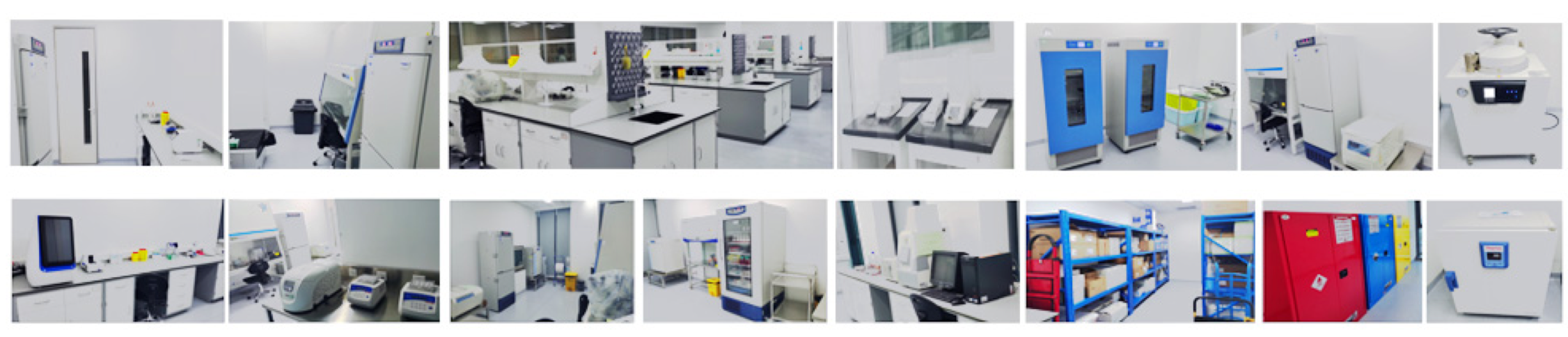 EVO视讯(中国)有限公司官网