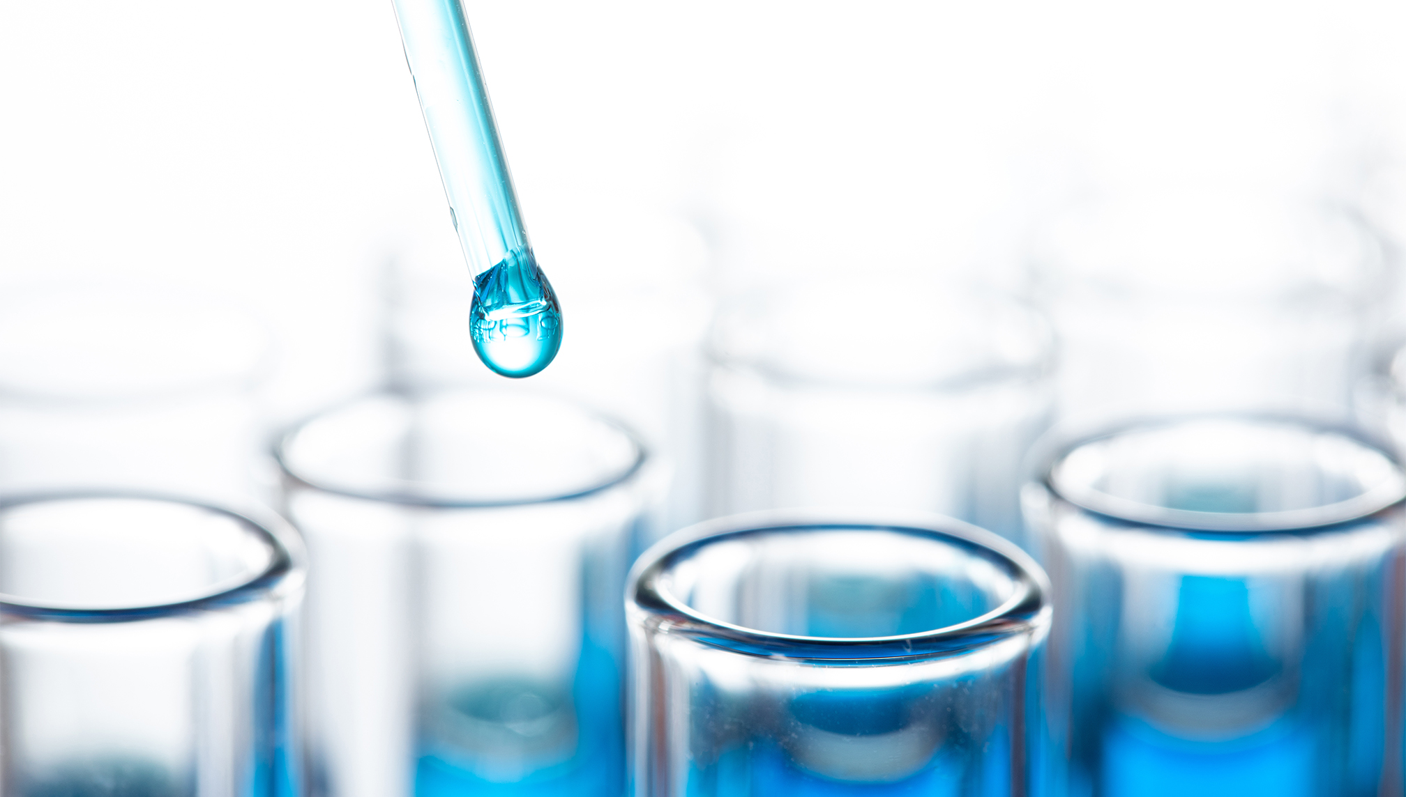 EVO视讯(中国)有限公司官网