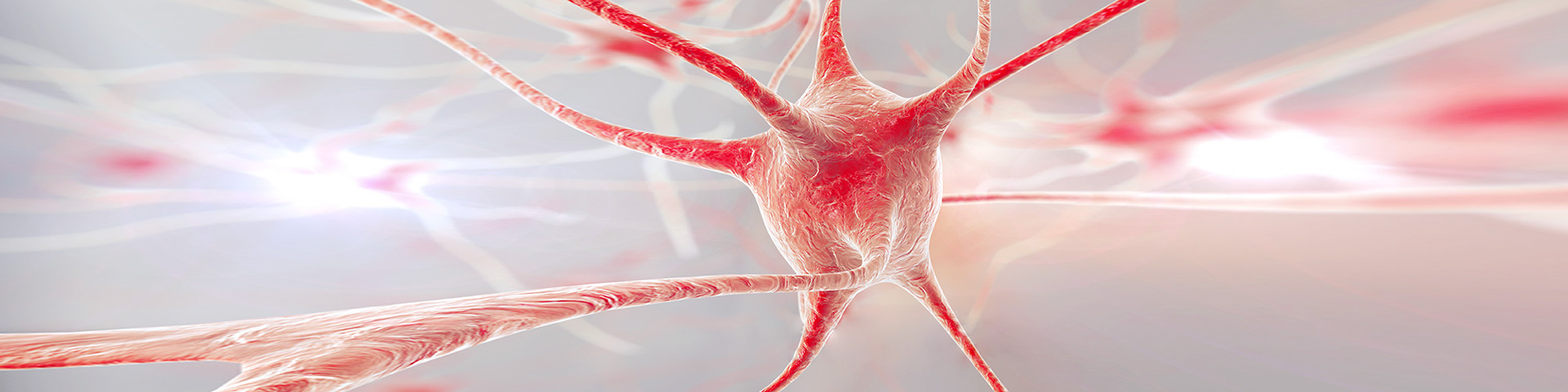 EVO视讯(中国)有限公司官网