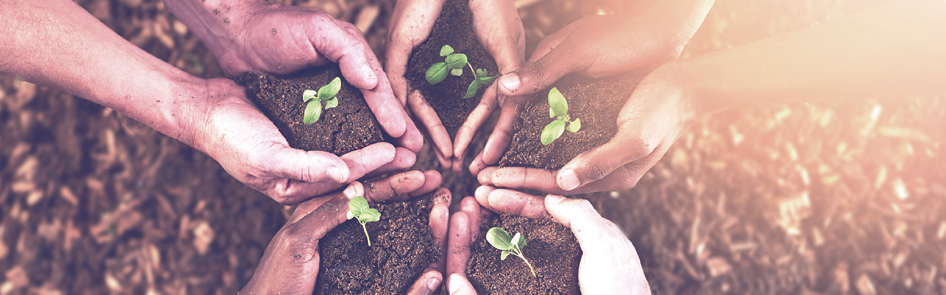 EVO视讯(中国)有限公司官网